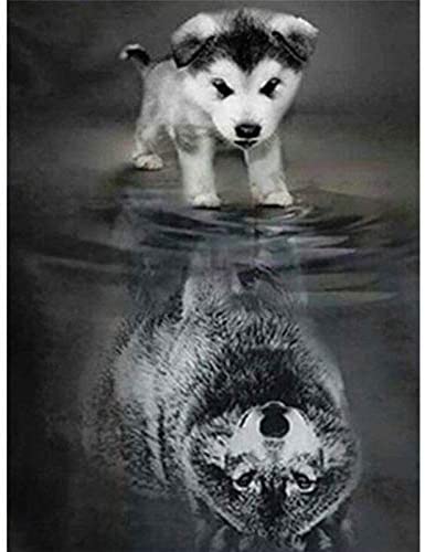 41MtL4INm1L._AC_4de7d116-5bc1-4236-9aff-f0726bf863d7