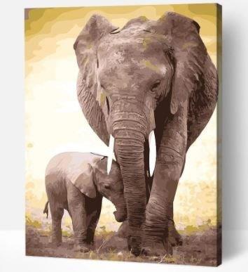 Ellie_868e0b5d-f0b7-47d5-9b12-264de5985791